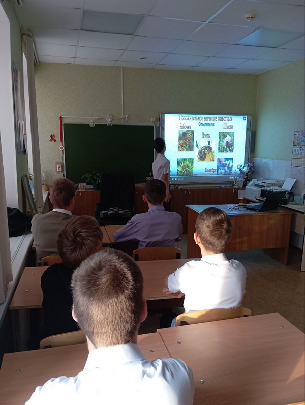 МЕЖДУНАРОДНЫЙ ДЕНЬ ЗАЩИТЫ ЖИВОТНЫХ