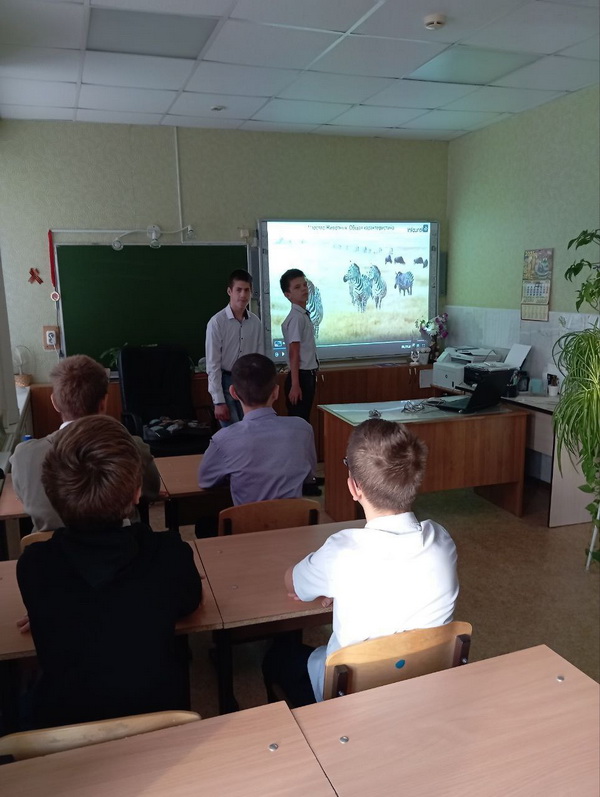 МЕЖДУНАРОДНЫЙ ДЕНЬ ЗАЩИТЫ ЖИВОТНЫХ