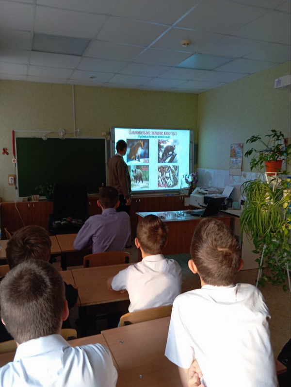 МЕЖДУНАРОДНЫЙ ДЕНЬ ЗАЩИТЫ ЖИВОТНЫХ