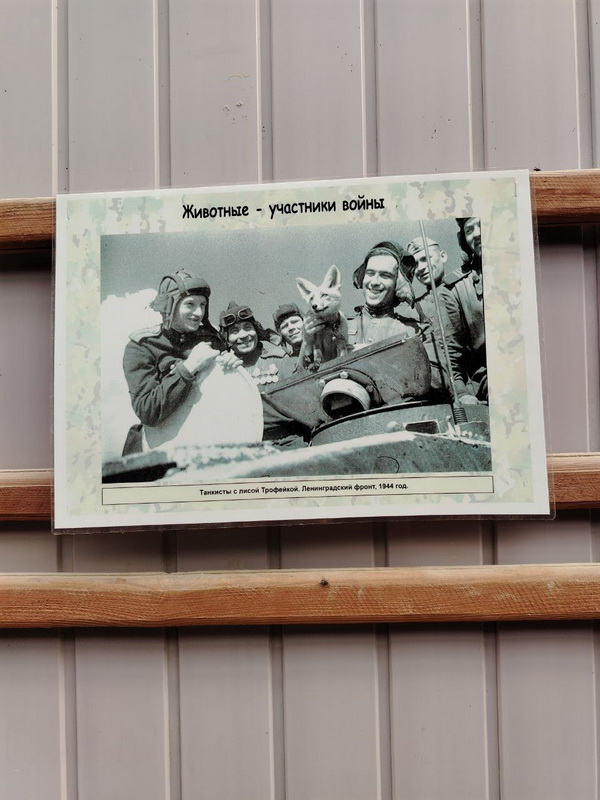 НАШ ЛЮБИМЫЙ ЗООПАРК